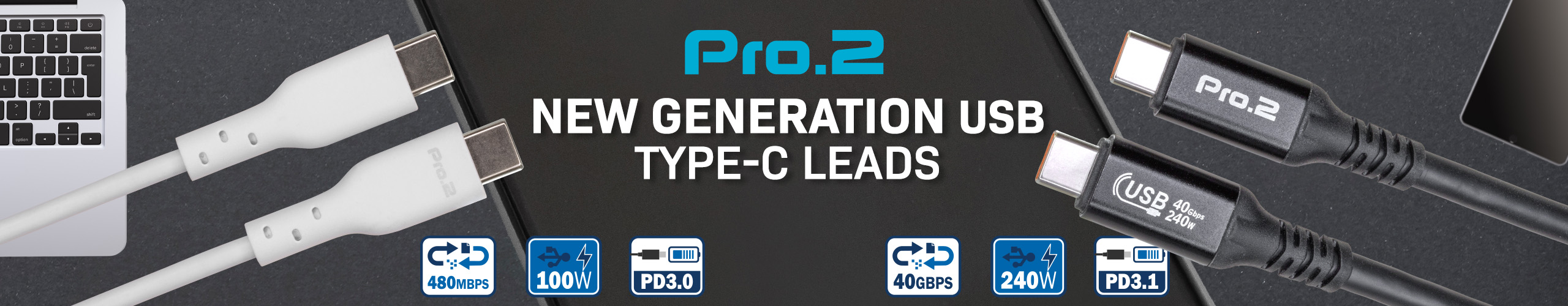 Pro2 Type C Leads